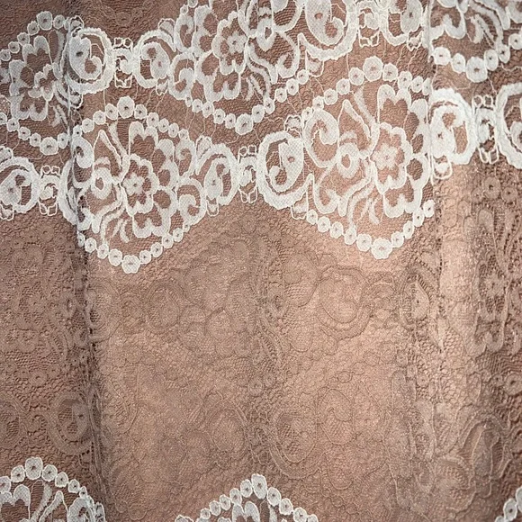 Sharagano lace light pink and white lined lace dress Size4 - Picture 6 of 8